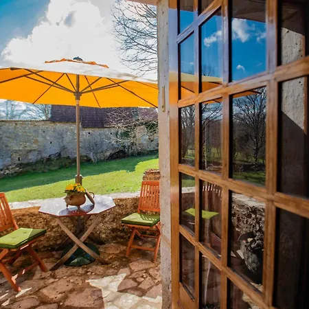 Ollie Saint-Cybranet