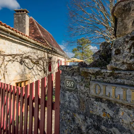 Semesterbostad Ollie *