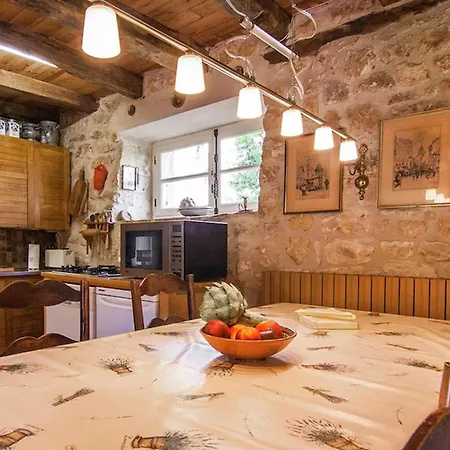 Ollie Saint-Cybranet