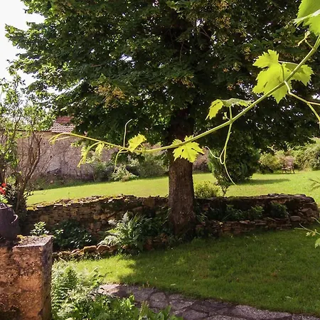 Ollie * Saint-Cybranet