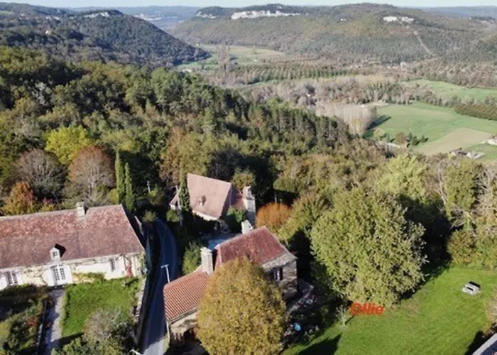 Ollie Сasa de vacaciones