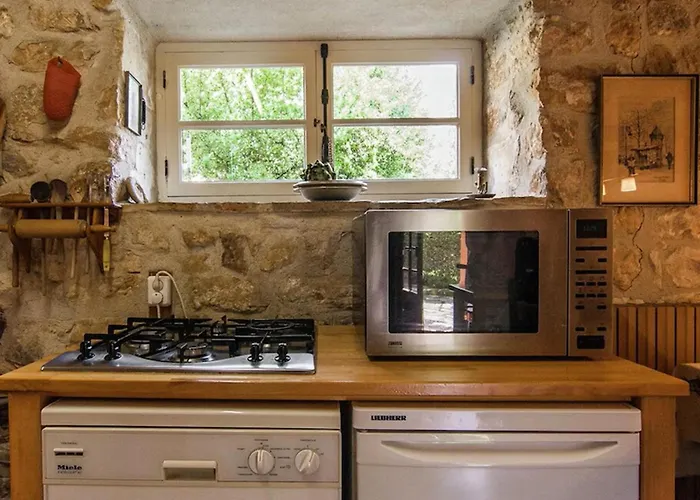 Ollie * Saint-Cybranet