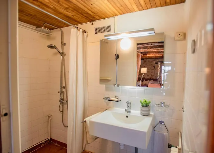 Ollie Сasa de vacaciones