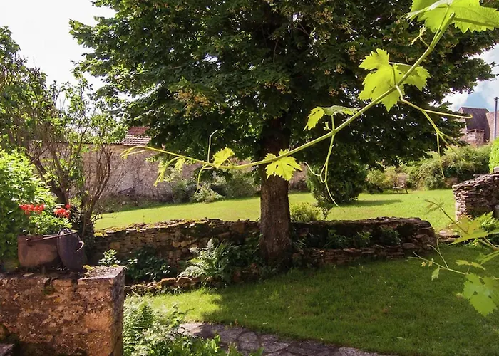 Ollie * Saint-Cybranet