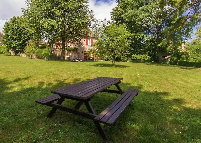 Ollie Сasa de vacaciones